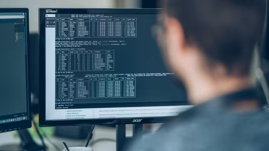 Ein Computerbildschirm, davor sitzt eine Person
